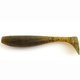 #074 Green Pumpkin Seed