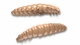 035 Pellets