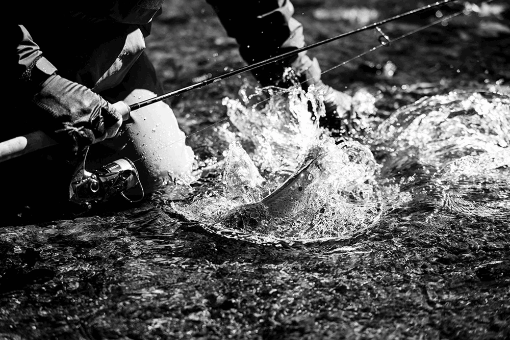 Kołowrotek Shimano Stella 4000M FK