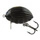 3 \ Black Bug