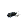 Wobler Engima Baits Osa 3,5cm | Pszczoła | pływający
