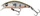 6.5 \ Olive Smolt
