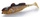 Goby \ 12