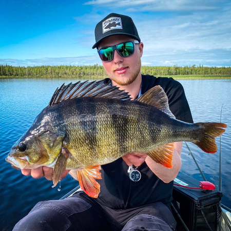 Przynęta Headbanger BangerRibs 8,6cm - Lime Shad - 1 szt.