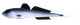 003 Blue Whitefish