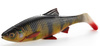 Guma Savage Gear 4D LB River Roach 18cm | Perch