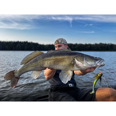 Ogon Blacktail Rooster S 19 cm | 45g | Chub