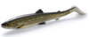 Zestaw Guma Westin BullTeez Shadtail 24cm | Natural Pike + Dozbrojka Vis Vangen