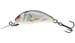 Wobler Salmo Hornet 3,5cm | Real Dace | tonący
