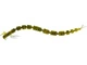 Seaweed Pearl