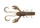 Shrimp