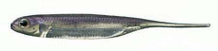 Fish Arrow Flash-J 2" - Lake Wakasagi/Silver #25 - 1 szt.
