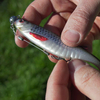 Guma DELPHIN Realix 3D / 13cm / 16g / Trout
