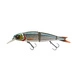 Roach
