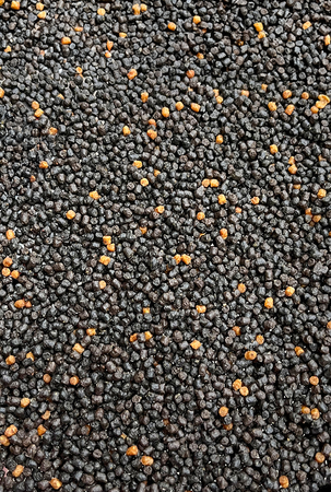 Micro Pellet Feeder Bait Prestige Dark 2mm | Naturalny (Rybny)