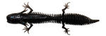 Guma Savage Gear NED Salamander 7,5cm | Black & Blue
