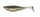 11 \ Flash Minnow