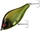 Tench \ 10