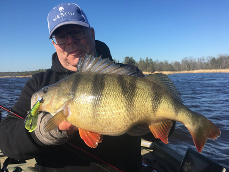 Guma Westin CreCraw Creaturebait 6,5cm | Holy Chartreuse