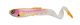 Albino Trout