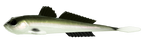 Przynęta Libra Lures Gobio 7.3" | 18.54 cm | 031 - Olive Whitefish