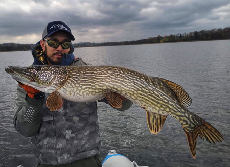 Guma Savage Gear 4D LB River Roach 22cm | Roach