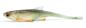 Przynęta ANGRY LURES Bleak V-Tail - 7cm - NOO