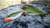 Jerk Lost Lures Ferox 10 cm - tonący - F17 - Olive