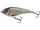Neutralny \ Real Roach \ 15