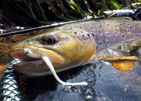 Przynęta Libra Lures Dying Worm 7cm | 040 - Black | ser | 15 szt.