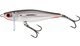 Silver Flashy Fish