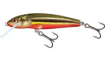 Wobler Salmo Minnow 5cm - tonący - Rainbow Dace