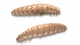 035 - pellets