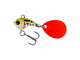Pearl Stickleback
