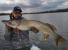 Zestaw przynęt Savage Gear 3D LB River Roach 14cm | Clear Water Mix | 4 szt.