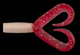 TS010
