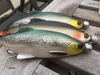 Zestaw Guma Westin Ricky the Roach ST 14cm | Headlight - 1szt + Dozbrojka Vis Vangen 2szt.