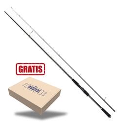 Wędka WESTIN W2 POWERTEEZ 8'4"/250cm M 14-49G 2SEC + GRATIS