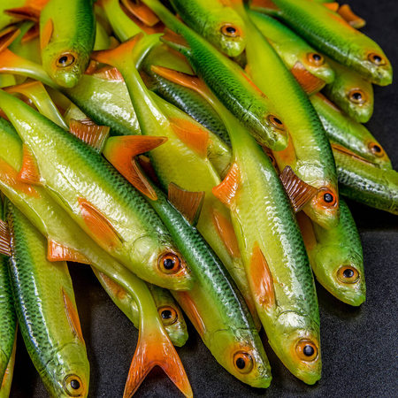 Guma Angry Lures Bleak F-Tail 12,5cm | GYO