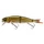  Dirty Roach