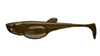 Przynęta Libra Lures Embrion Shad 3" | 7.5 cm | 037 - Blood | 8 szt.