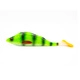Okoń Fluo