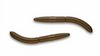 Przynęta Libra Lures Fatty D'Worm 7.5cm | 038 - Brown | ser | 8 szt.