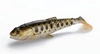 Guma SAVAGE GEAR CRAFT CANNIBAL PADDLETAIL 12.5CM 20G OLIVE PEARL SILVER SMOLT