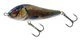 Supernatural Tench