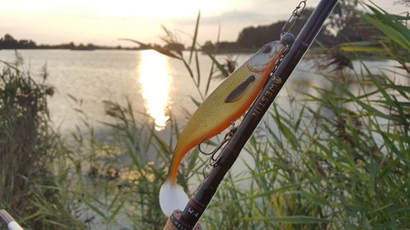 Guma Westin ShadTeez High 19cm | Tiger Perch