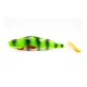 Okoń Fluo