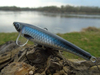 Wobler z Basoni River Bleak 7 cm -11g - niebiesko-czarny