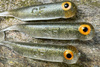 Guma Great Fish GF1 4,9cm | Natural | krewetkowy |10 szt.