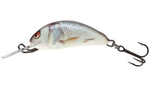Wobler Salmo Hornet 3,5cm | Real Dace | pływający